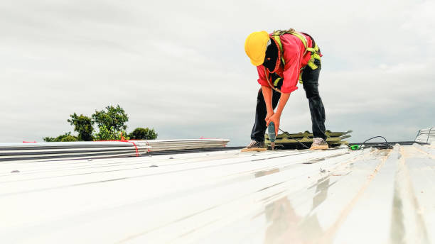 Best Roof Moss and Algae Removal  in Crandall, TX